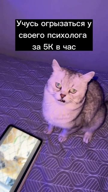 Учусь огрызаться