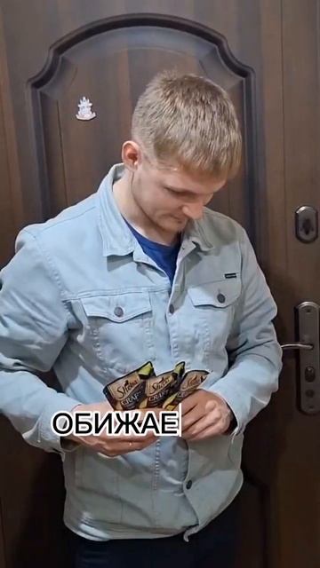 Влажные мечты Дуси🤣 #кошки #cats #cat #catshorts #рекомендации #дети #дочь #топ #тренды #shorts
