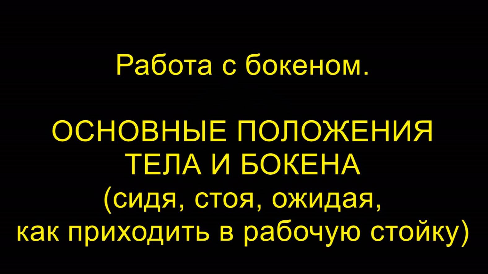 Работа с бокеном. ОСНОВНЫЕ ПОЛОЖЕНИЯ ТЕЛА (сидя, стоя, ожидая, как приходить в рабочую стойку).