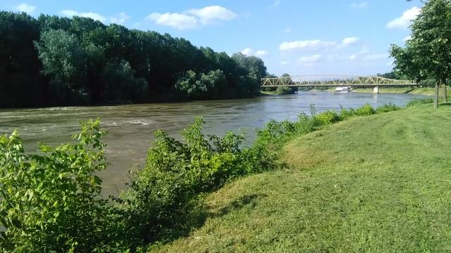 Река Велика Морава - Ћуприја 03.07.2023