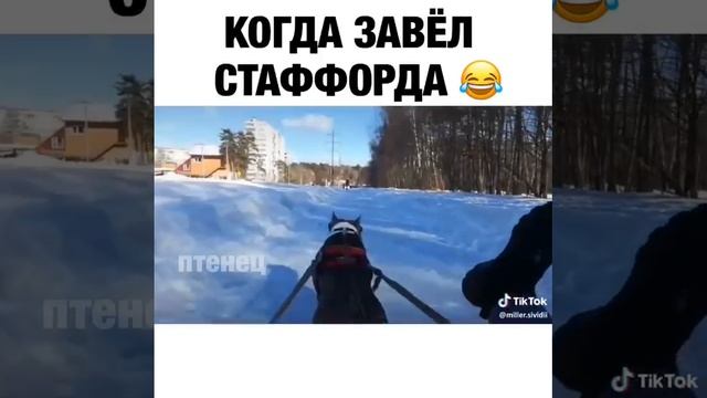 стаф мощь