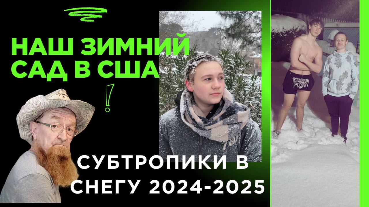 🏠🗽НАРЕЗКА СУБТРОПИКОВ🗽🌞🌴 НАШ ЗИМНИЙ САД А-ЛЯ КОЛХОЗ🤦_♂️