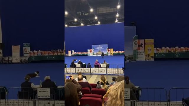 30 марта 2024 г.