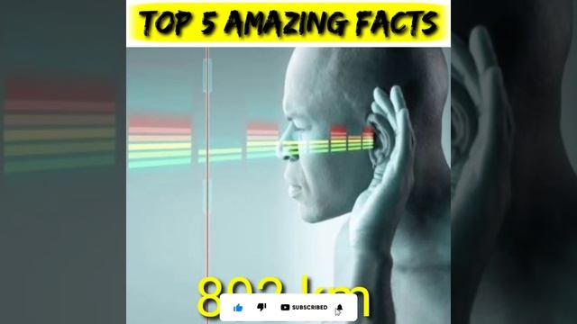 Top five amazing facts|🤔🤔 #shorts #facts #unknownfacts #amazingfacts #trending #interestingfacts