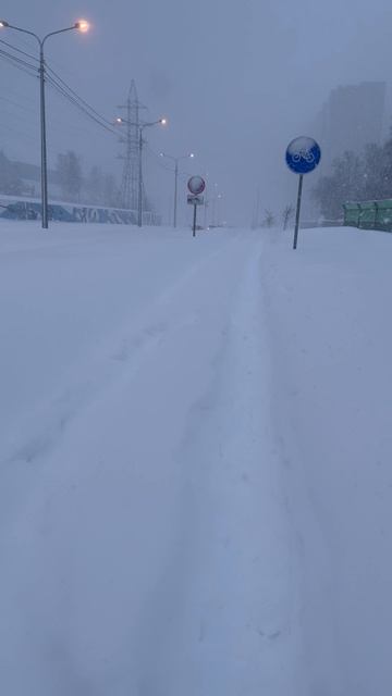 06-02-2025метелица Сахалин