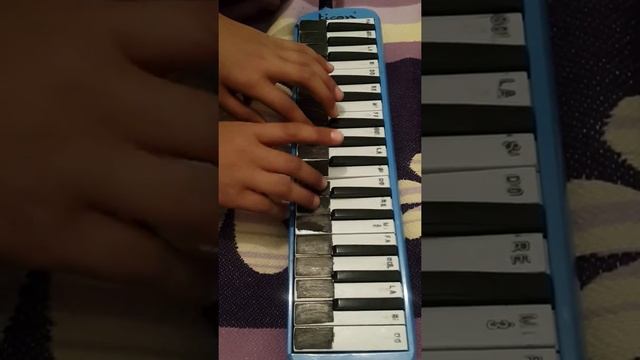 Titanic müziği  (melodika)