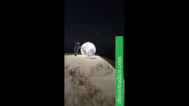 ВСЕ ХОТЯТ ДОМОЙ