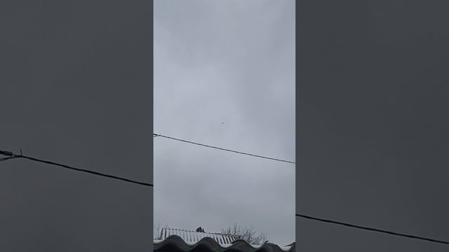 6.02.2025.молодой ленинаканчик пробное соло.