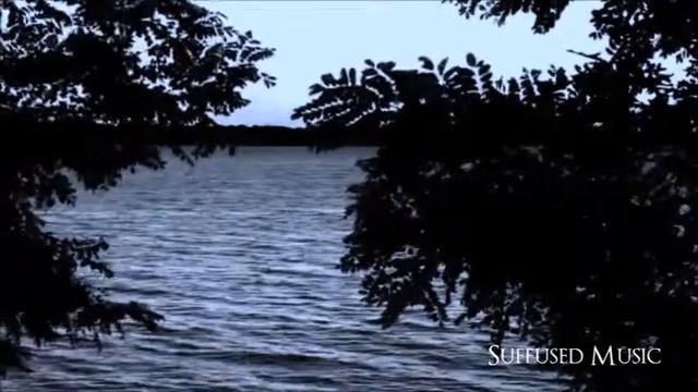 Hypnotic Progressions & Pavlin Petrov - Twilight (CJ Art Voices From the Inside Intro Mix)