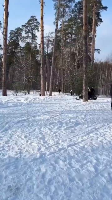 Отдых на снегоходах