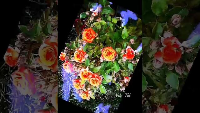 Песня ТЫ СЕГОДНЯ ТАК КРАСИВА