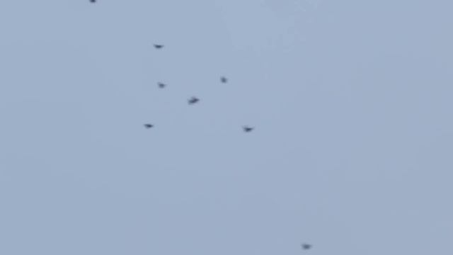 DSCN3479