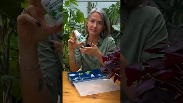 Цветочная аптечка