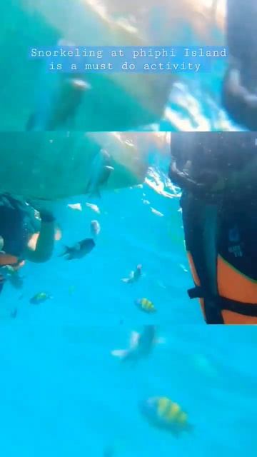 Snorkeling at phi phi Island #trending #krabi  #youtube #viral #youtubeshorts #thailand #phuket
