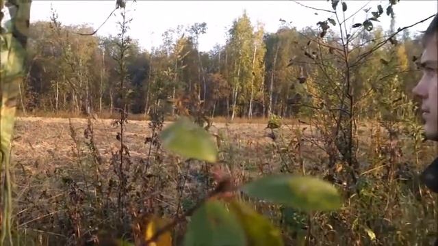 Охота в сентябре