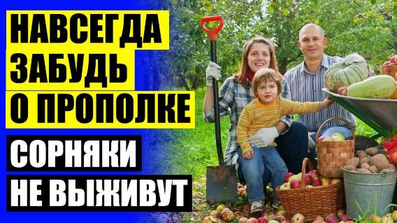 Препараты от сорняков 5 литров