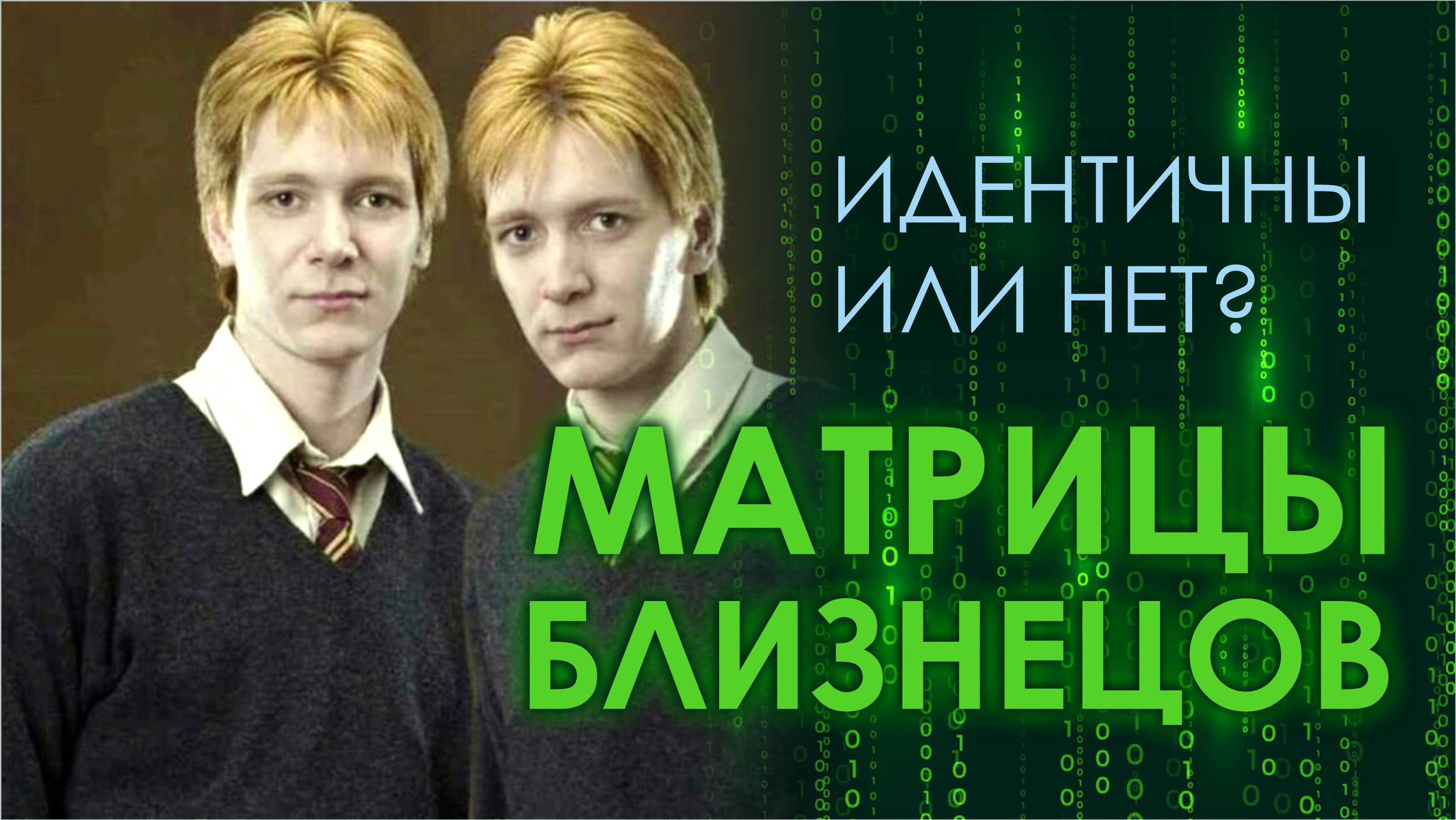 Матрицы близнецов. Как консультировать Матрицу Судьбы?