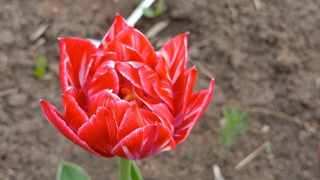 20240525_175755 (online-video-cutter.com)