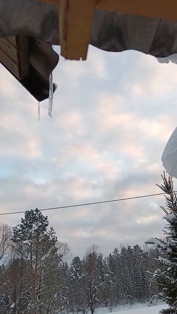 6 февраля 2025 г. Наблюдение для рисования.