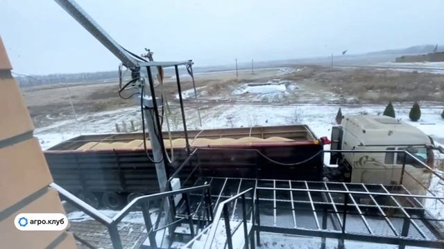 Пензенская область: отбор проб сои для лаборатории