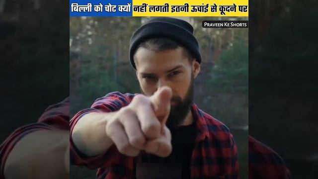 5 Amazing facts about Cats 🤯 #shorts #ashortsaday