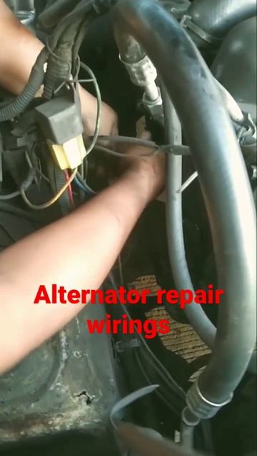 alternator reapair wirings .. positive main line