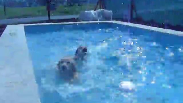 Maya y Azteca estrenando la LuNa pileta !!!