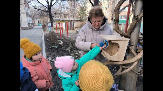 "Наша помощь птицам зимой"
