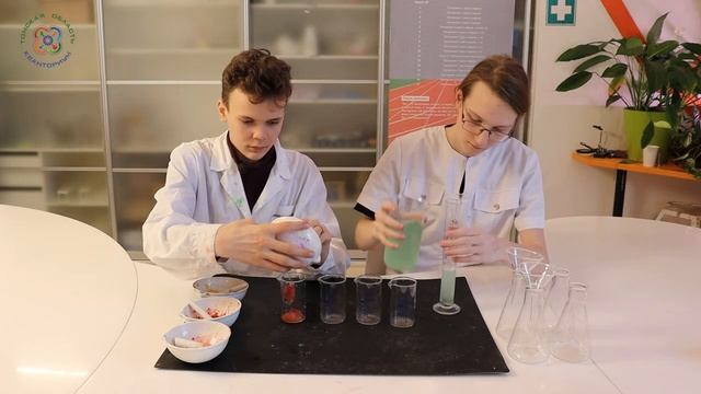 Мастер-класс от кванторианцев по выделению ДНК из овощей и фруктов