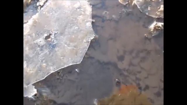 Подъязки руками.