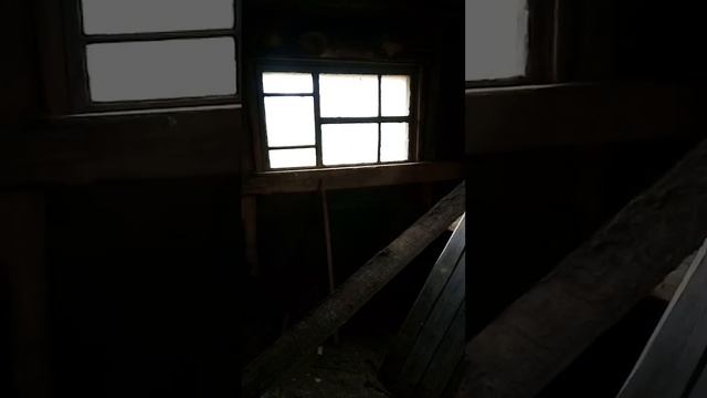 Мастерская из опилкобетона подготовка под пол,и др