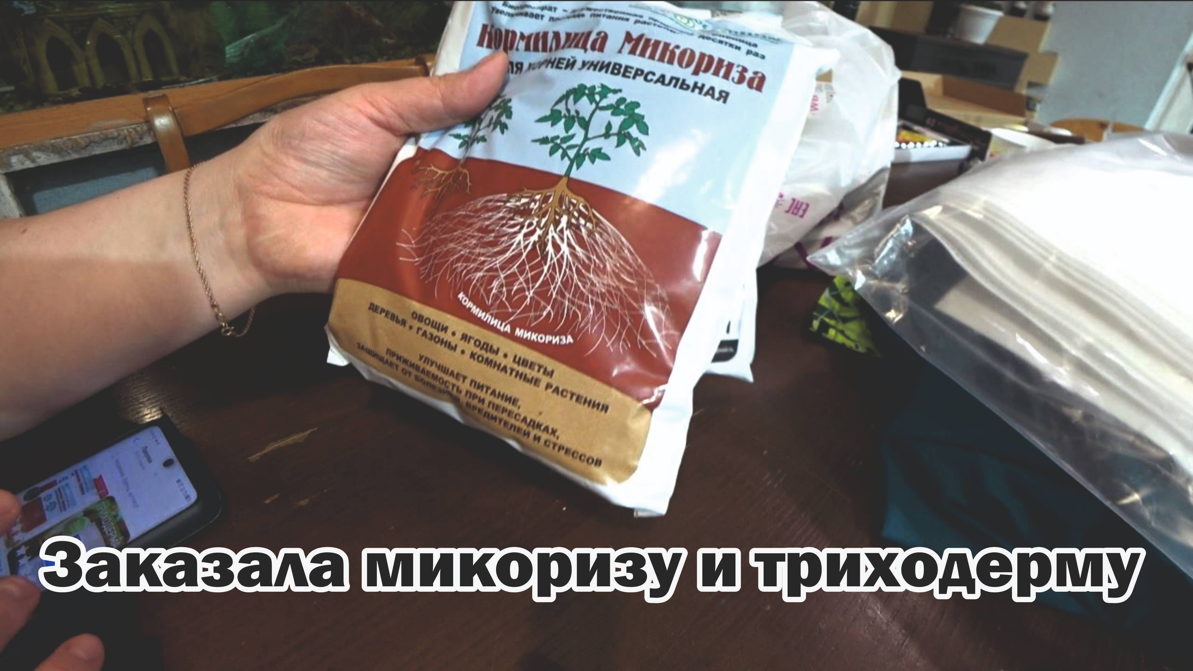 Обзор покупок с маркетплейсов: футболки, брюки, микориза, триходерма, загуститель сливок и сметаны