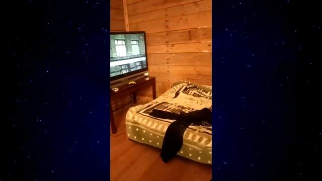 06. Я РЖАЛ ДО СЛЕЗ 😂 30 Минут ОТБОРНЫХ Русских приколов 2024 Смешные видео - Лучшие ПРИКОЛЫ 105