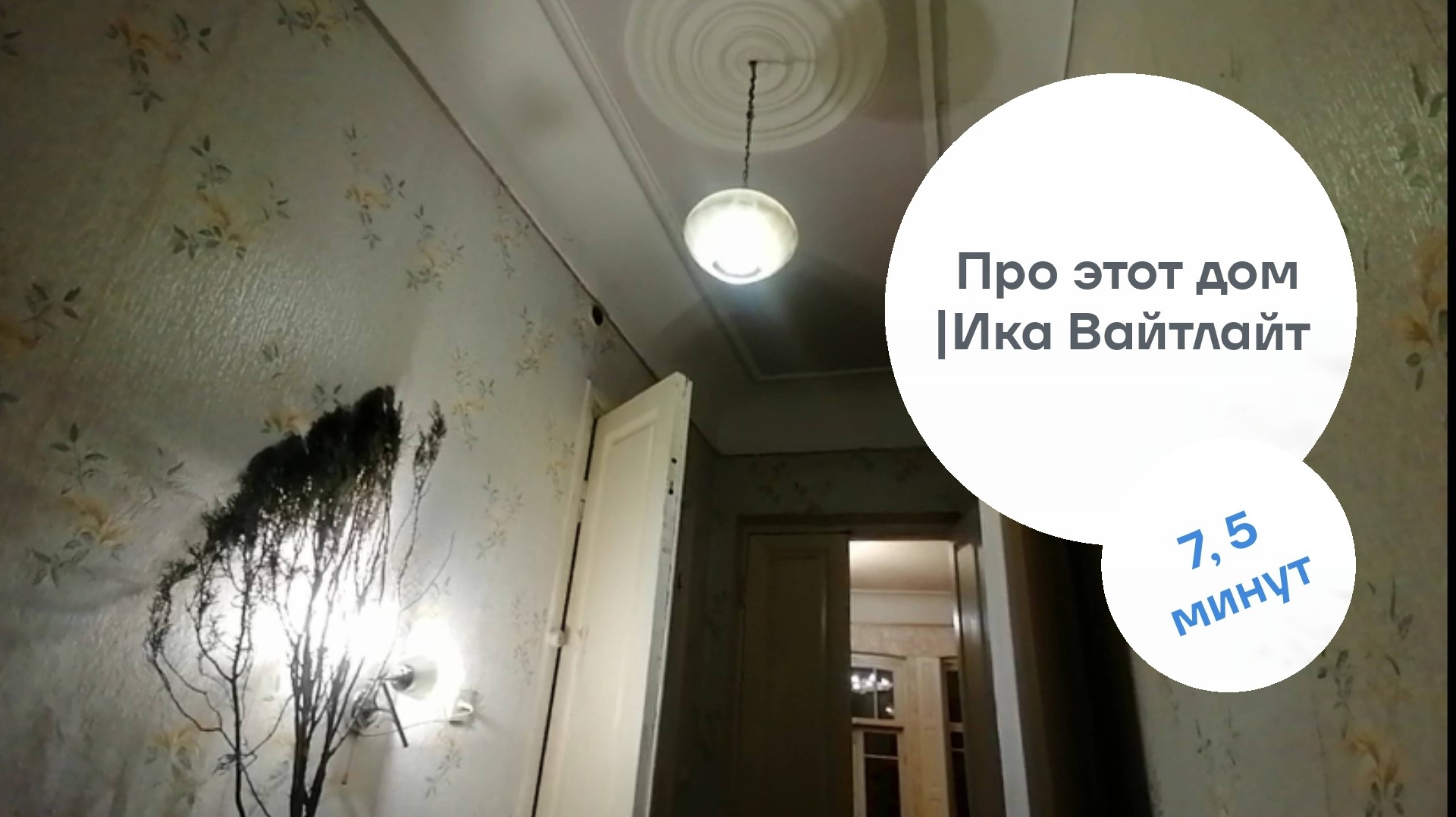 Ветка туи, дерево и этот дом|Серия коротких фильмов "Минута Комфорта" | Автор: Ика Вайтлайт