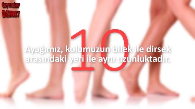 Hepimizin Yanlış Bildiği 17 Şey