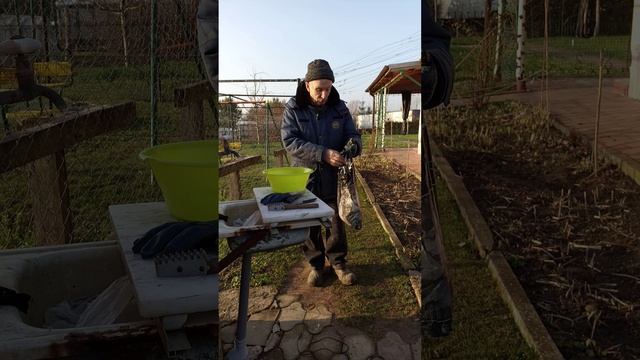 За окунями....