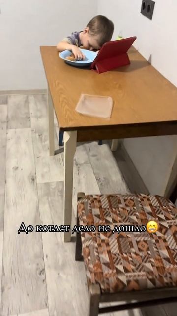 Залип