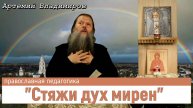 "Стяжи дух мирен". Тема вопросов: православная педагогика. Видеоконференция Артемия Владимирова.