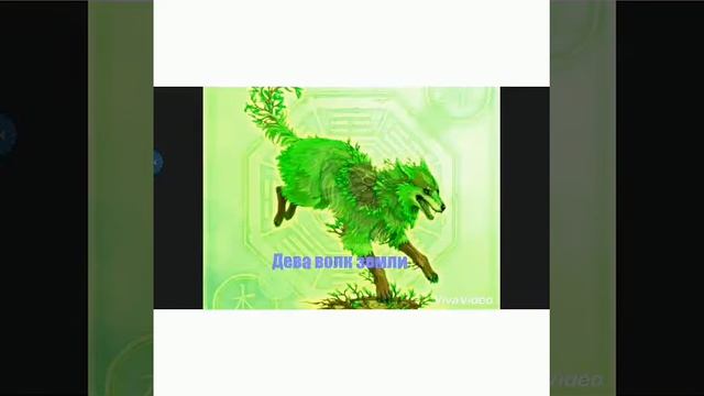 Какой ты волк по знаку задиака 🐺😍