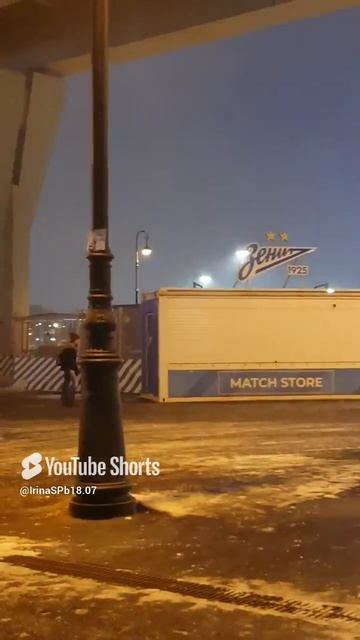 Ст.м."Зенит". ГазпромАрена. Вантовый мост ЗСД.