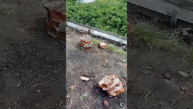 бюджетный фундамент своими руками часть 2