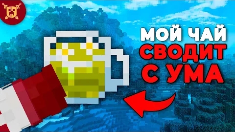 [Ники Райт] МайнШилдовцы ДУРЕЮТ с моего ЧАЯ!
