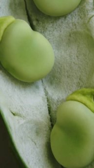 closure of beans . #agriculture #viral #agroindia #viralvideo #beans #vegetables #seeds#green #shor