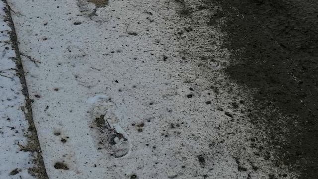 Усадьба Ляхово. 6.02.2025.Домодед.Бежит чистая вода с Ляховского озера(нижнего) в Реку Востец.Обзор