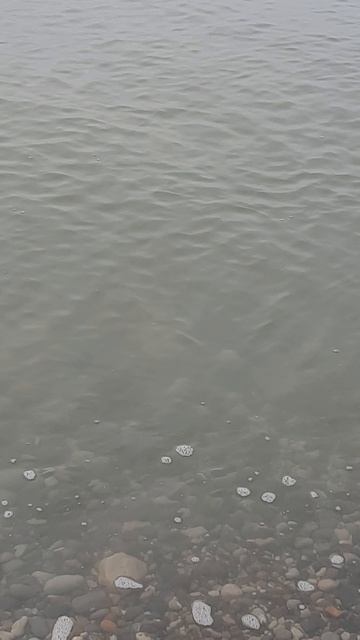 1000043249.mp4