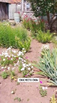 Личный источник энергии 🔥