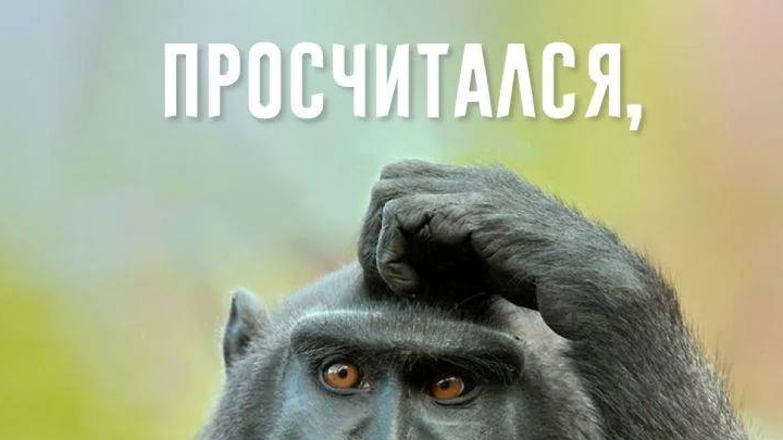 Благодарности и размышления с вопросами#лысенко