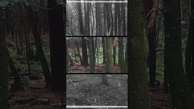 Барба Војо - Stay tuned (official visualiser)