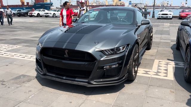 Mira todos estos MUSTANG que vinieron al puerto de Veracruz.