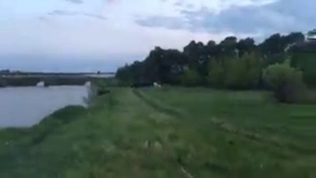 2 сома